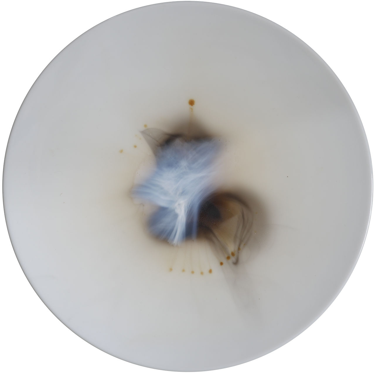 olivier-gain-nebuleuses-assiette-3