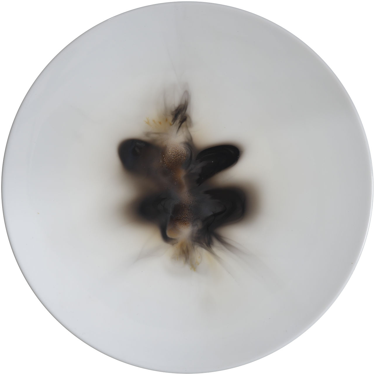 olivier-gain-nebuleuses-assiette-4